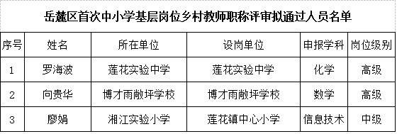 2021年岳麓区首次基层中小学教师职称评审拟通过人员名单公示(图2)